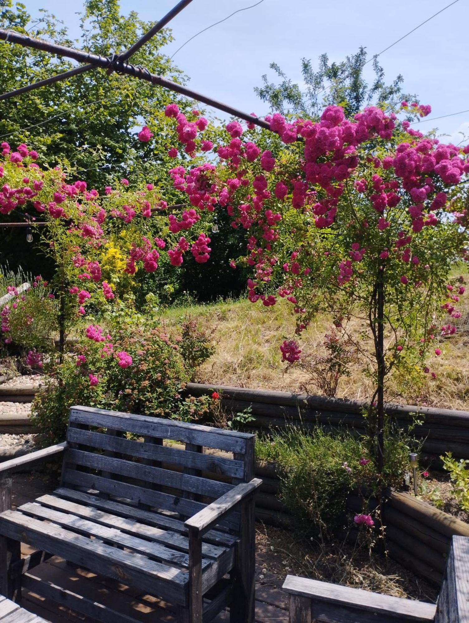 Fenetre Sur Loire Bed & Breakfast Iguerande Dış mekan fotoğraf