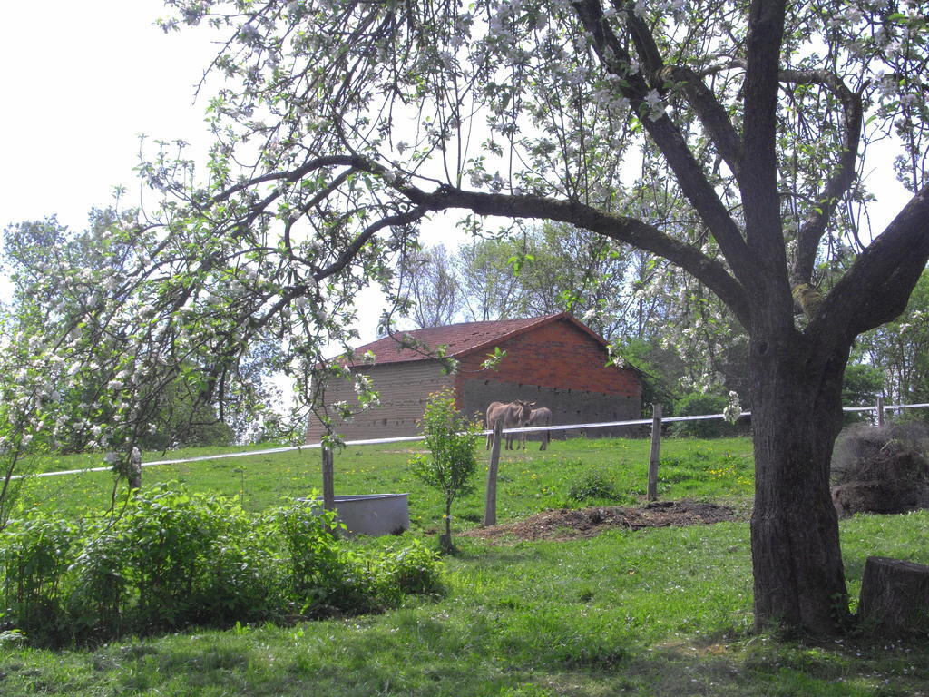 Fenetre Sur Loire Bed & Breakfast Iguerande Dış mekan fotoğraf